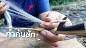 คันชักซอจากเอ็นตกปลา