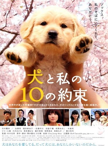 ดูหนังออนไลน์ฟรี 10 Promises to My Dog (2008) 10 ข้อสัญญาน้องหมาของฉัน