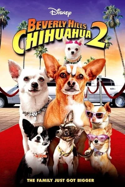 ดูหนังออนไลน์ Beverly Hills Chihuahua 2 (2011) คุณหมาไฮโซ โกบ้านนอก ภาค 2